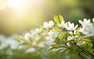 Zapraszamy na Warsztaty Mindfulness!